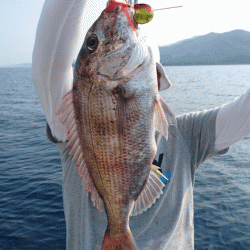 遊漁船ブルーウッズ 釣果