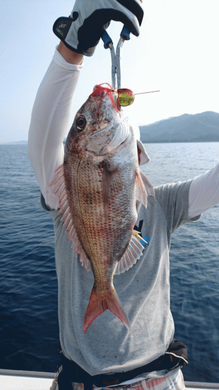 遊漁船ブルーウッズ 釣果