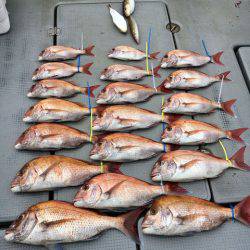 さんさん丸 釣果