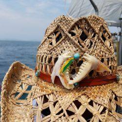 遊漁船 ニライカナイ 釣果