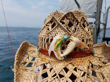 遊漁船 ニライカナイ 釣果