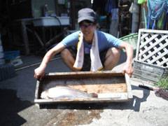 すそのフィッシングパーク 釣果