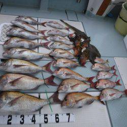 遊漁船 幸友丸 釣果