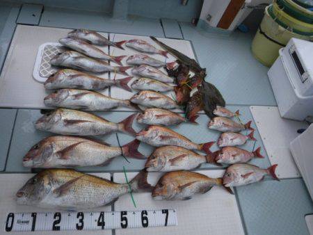 遊漁船 幸友丸 釣果