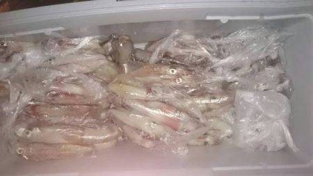 寿裕 （YOSHIHIRO） 釣果