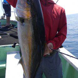 遊漁船 新鋭丸 釣果