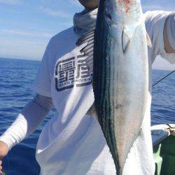 遊漁船 新鋭丸 釣果