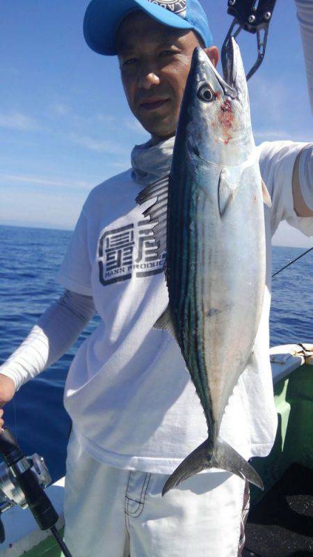 遊漁船 新鋭丸 釣果