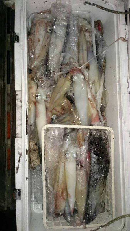 寿裕 （YOSHIHIRO） 釣果