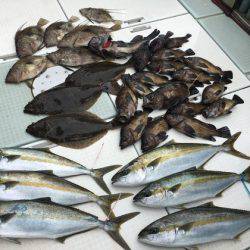 ふじしめ丸 釣果