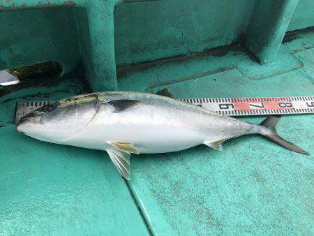 広進丸 釣果