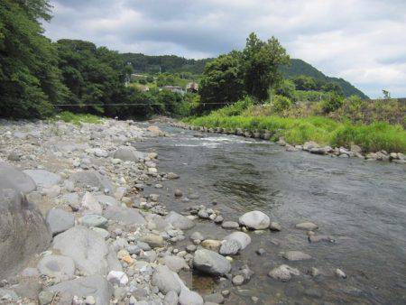狩野川(狩野川漁業協同組合) 釣果