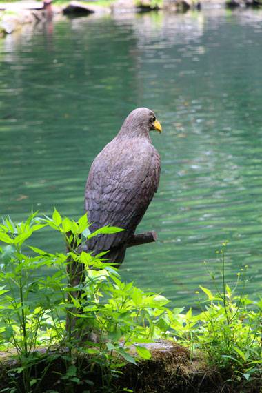 小菅トラウトガーデン 釣果