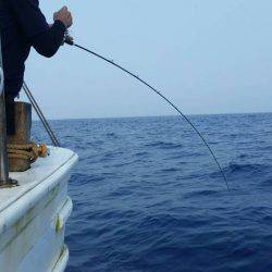 第五慶門丸 釣果