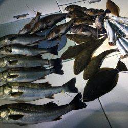 ふじしめ丸 釣果