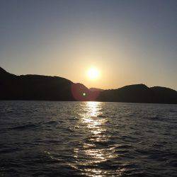 フィッシングボートACE(エース) 釣果