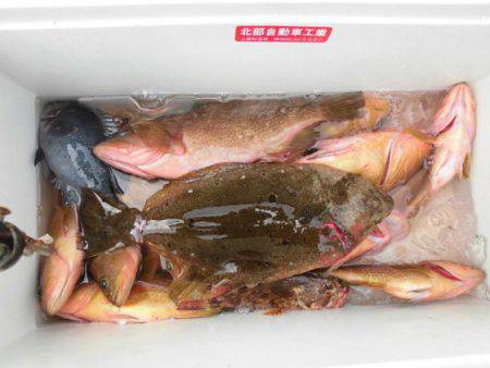 大進丸(新潟) 釣果