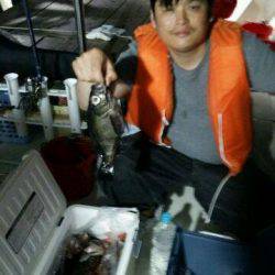 釣り船くわだ 釣果