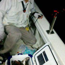 釣り船くわだ 釣果