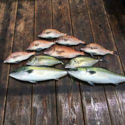 由良海上釣り堀 海人 釣果