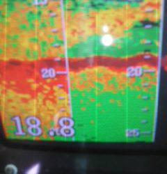 たかはし丸 釣果