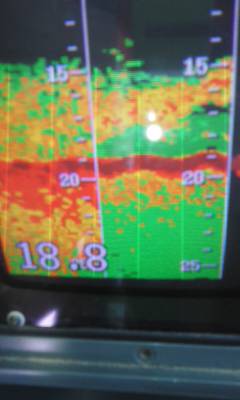 たかはし丸 釣果