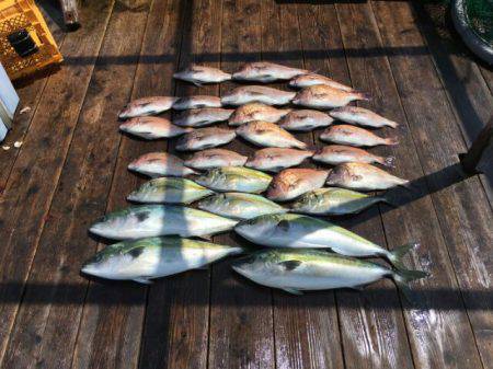 由良海上釣り堀 海人 釣果