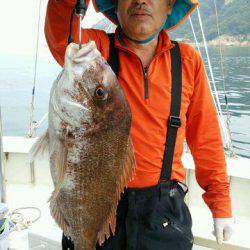 釣り船くわだ 釣果