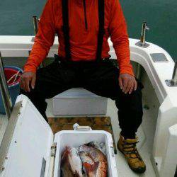 釣り船くわだ 釣果