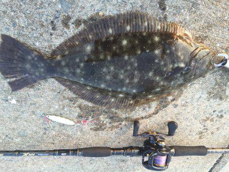 大村湾西部ショアスロー