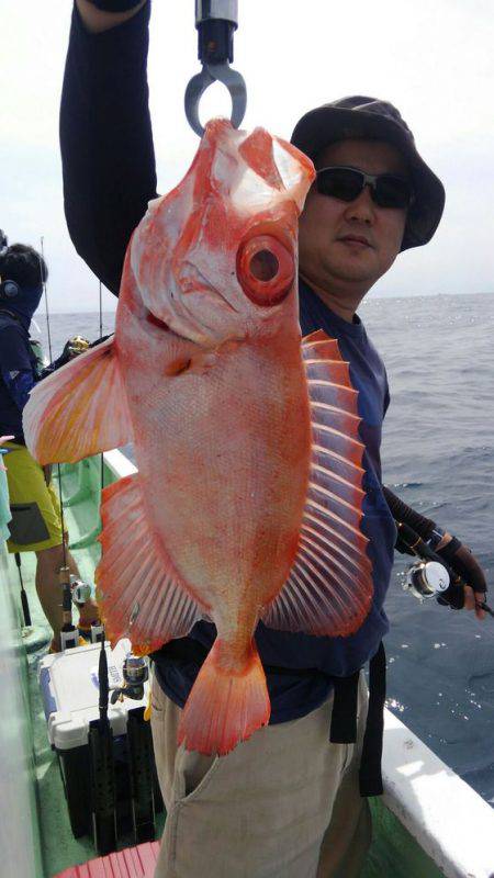 遊漁船 新鋭丸 釣果