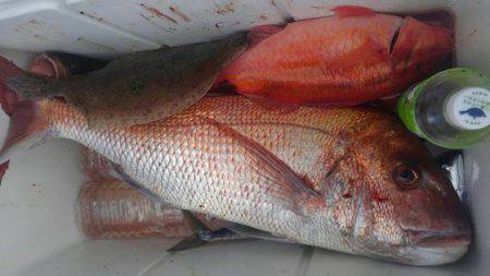 遊漁船 新鋭丸 釣果