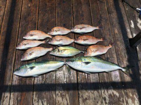 由良海上釣り堀 海人 釣果