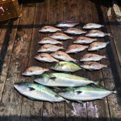 由良海上釣り堀 海人 釣果