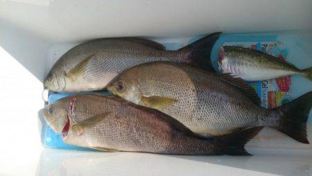 釣り船武蔵 釣果