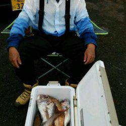 釣り船くわだ 釣果