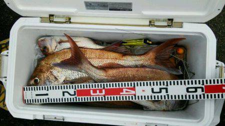 釣り船くわだ 釣果