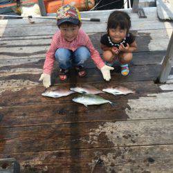 由良海上釣り堀 海人 釣果