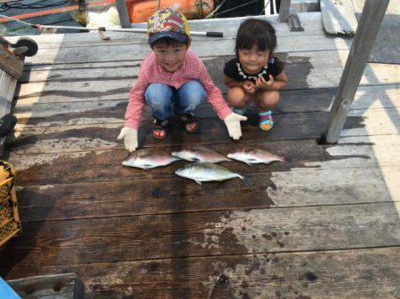由良海上釣り堀 海人 釣果