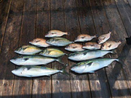 由良海上釣り堀 海人 釣果