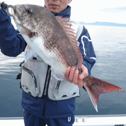 遊漁船ブルーウッズ 釣果