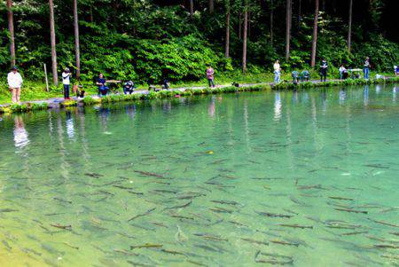 小菅トラウトガーデン 釣果