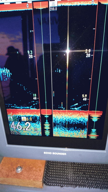 遊漁船ブルーウッズ 釣果
