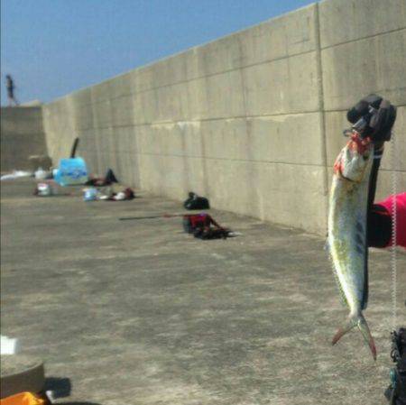 シーラ、ソーダも昼前から