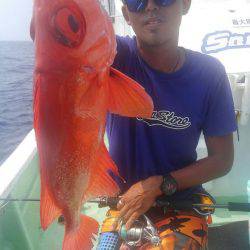 遊漁船 新鋭丸 釣果