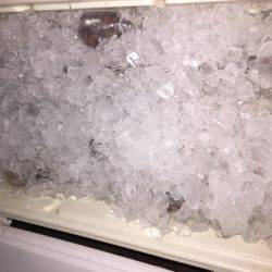 幸風（さちかぜ） 釣果