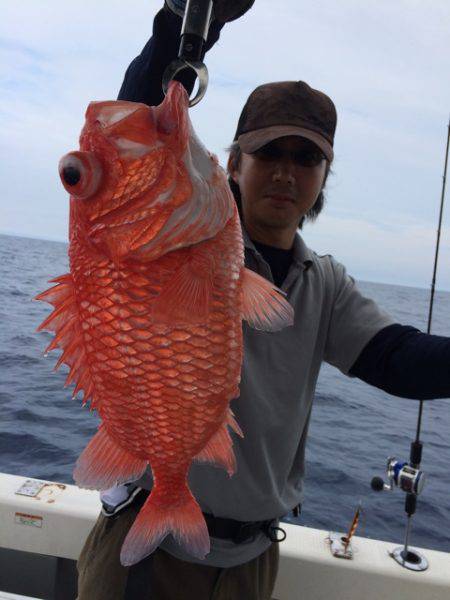 Blue.win 海人丸 釣果