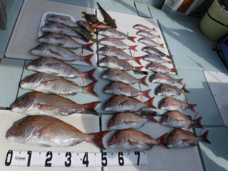 遊漁船 幸友丸 釣果