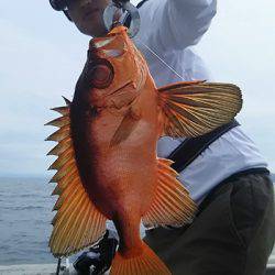黒ひげ 釣果