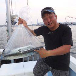 Hit Rush(ヒット ラッシュ) 釣果